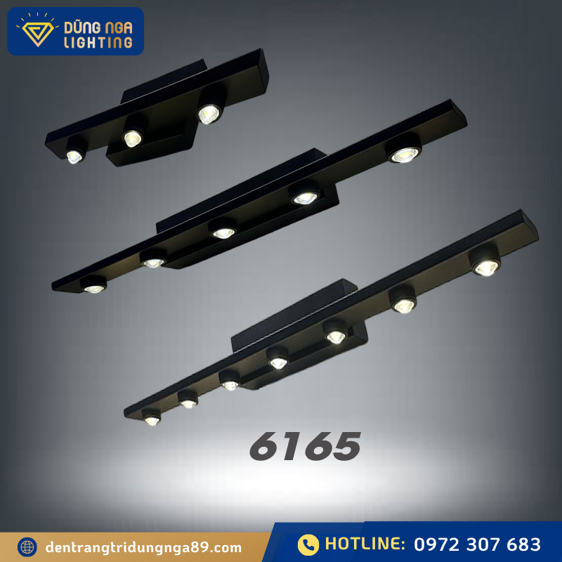 Đèn soi tranh bóng led 6165 (3BK/5BK/7BK)