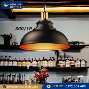 Đèn thả phòng ăn 300/1P (D300xH160)