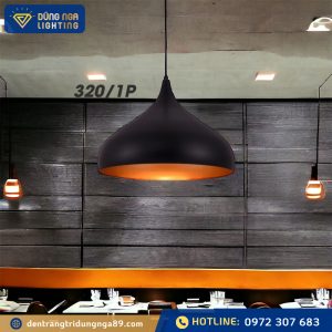 Đèn thả phòng ăn 320/1P(D300xH220)